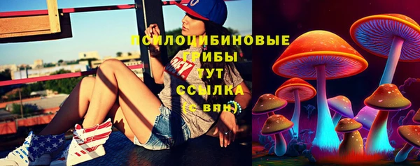 соль курить ск Алексеевка